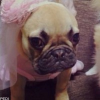 ベティちゃん
