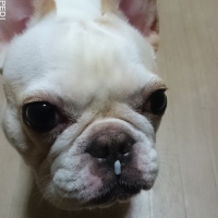 みるくちゃん