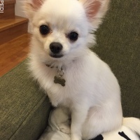 モモちゃん