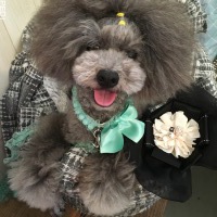 りあむくん
