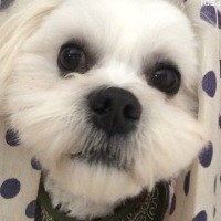 マルくん