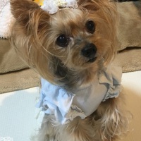 エルちゃん