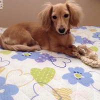 こうめちゃん