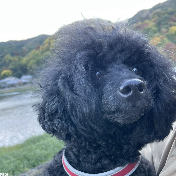 ルークくん