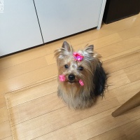 じゅたくん