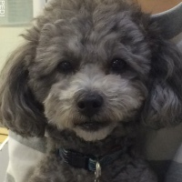 アンディくん