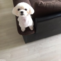 まるくん