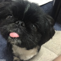 しんのすけくん