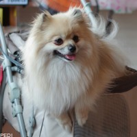 海斗くん
