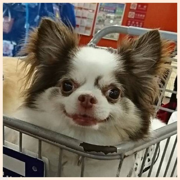 パティくん