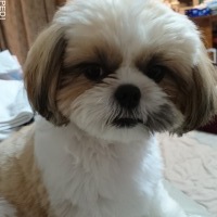 たいちくん