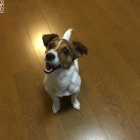 ニコララちゃん