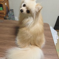 ケイちゃん