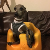 ステンくん