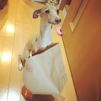 テテくん
