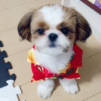 ちゅらくん
