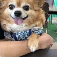 たろくん