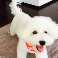 こはるちゃん