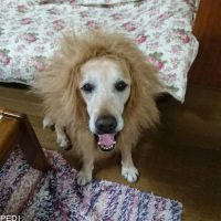 リッキーくん