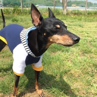 うぃるくん