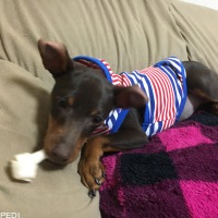 やまちゃん