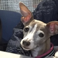凛ちゃん