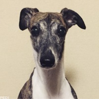 Ivyちゃん