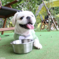 のあくん