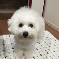 ペコちゃん