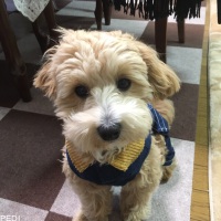 まるくん