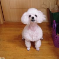 メイちゃん