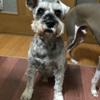 大吾郎くん