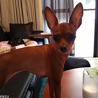 くるみちゃん