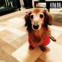 ミントちゃん