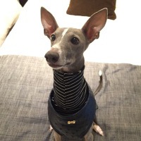 ナツくん