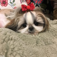 るーちゃん