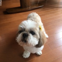 ゆうくん