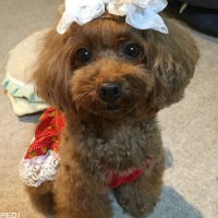 ニナちゃん