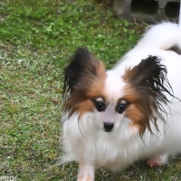 晴日ちゃん