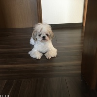 エリちゃん