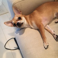 Berryちゃん