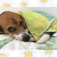 ふみえちゃん