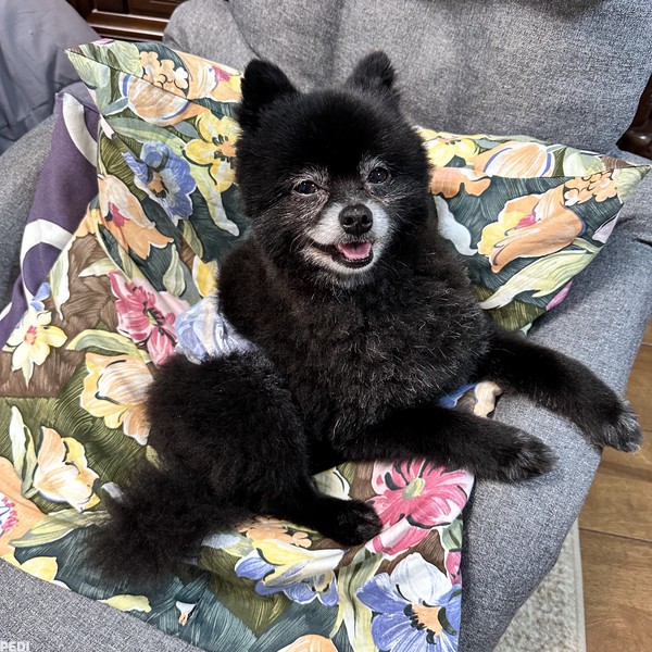 ももたろうくん