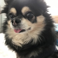 ララちゃん