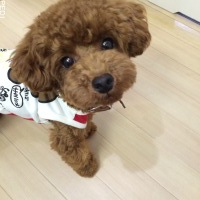 クロエくん