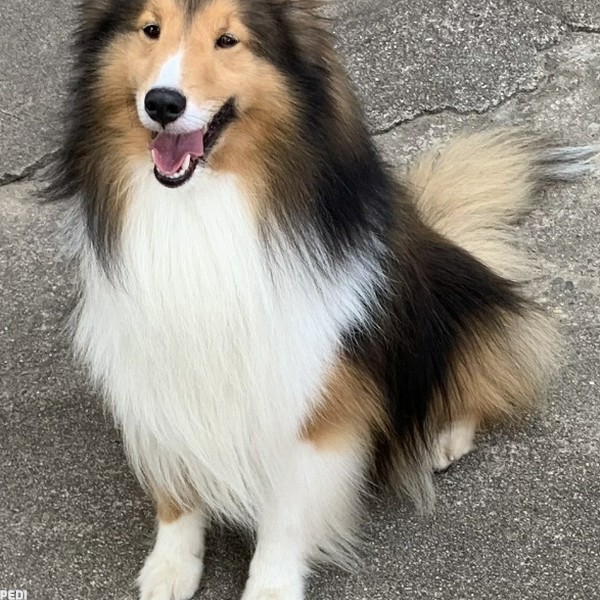 陽斗（はると）くん