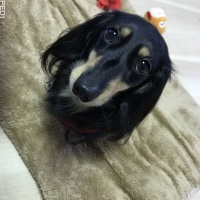 マリーちゃん