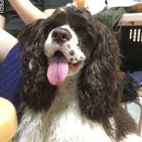 ぽんずくん