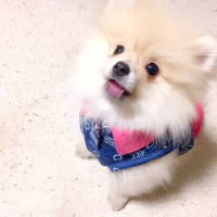 ぽぽちゃん