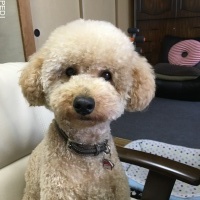 咲太郎くん